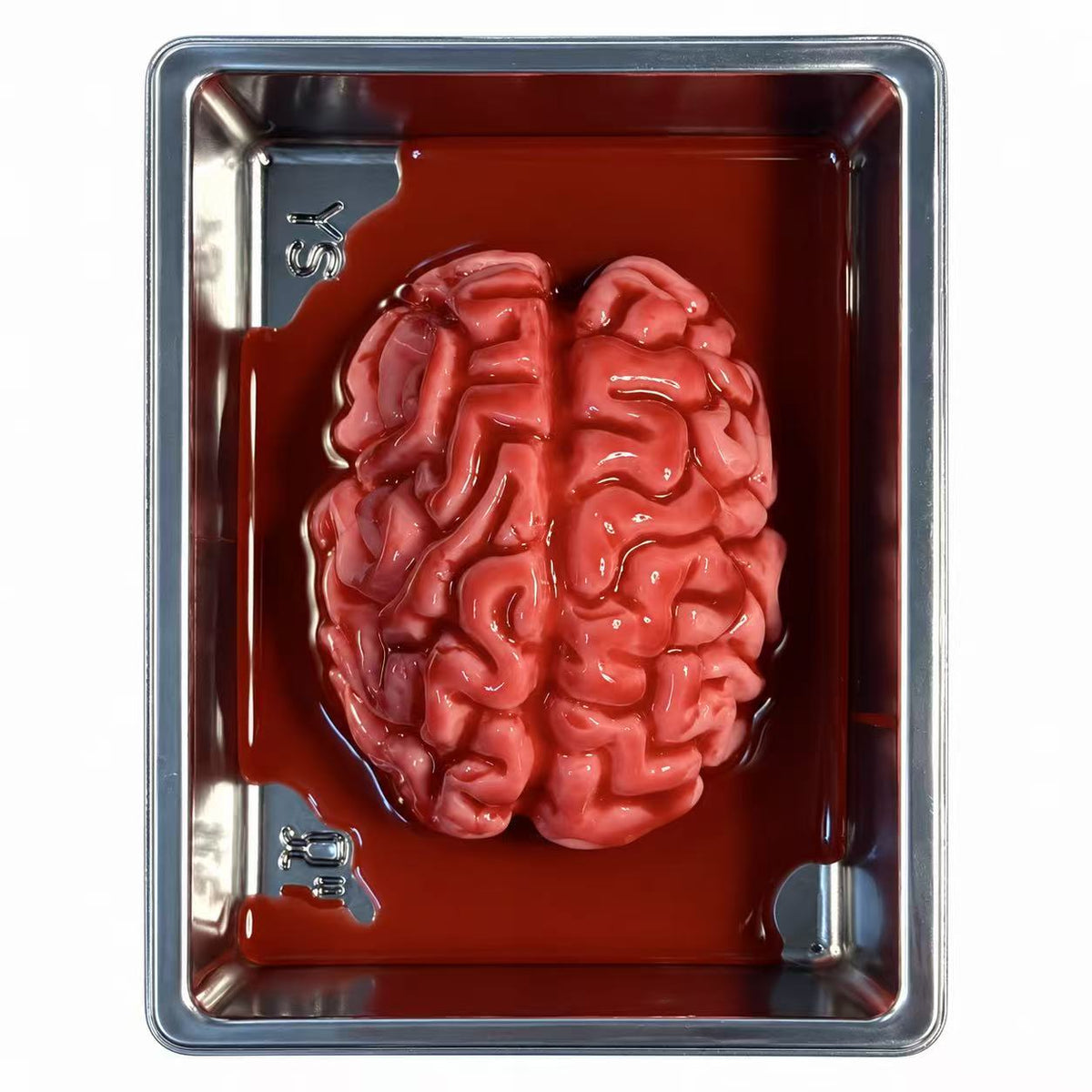 200 IQ Brain realistic silicone squishy